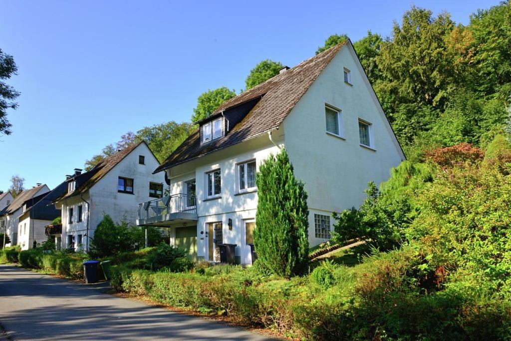 Die HAMMERHÜTTE Willingen  Exterior foto